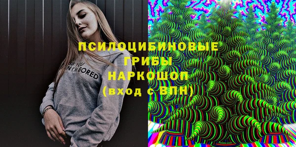 соль ск Абаза