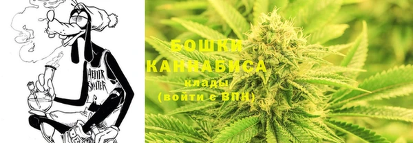 соль ск Абаза
