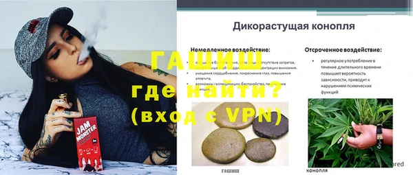 соль ск Абаза