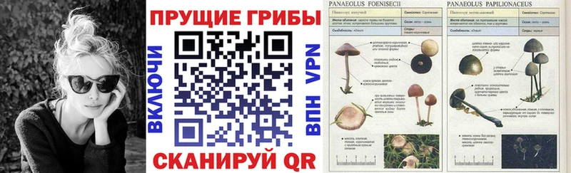 Галлюциногенные грибы мухоморы  Нижний Новгород 